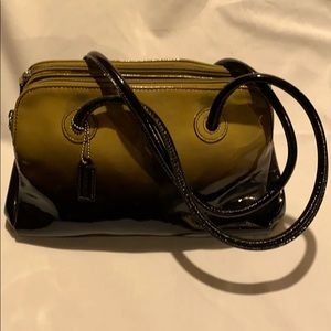 Roomy Danier purse